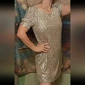 NWT Cable and Gauge Sequin Puff Sleeve Swing / Shift Dress Size Small 🥰